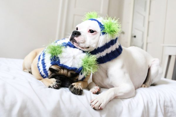 Snuggly Pug Alien Hats - All You Need is Pug